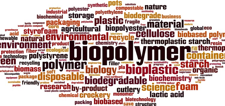 Neues Verbundprojekt „Biopolymere“