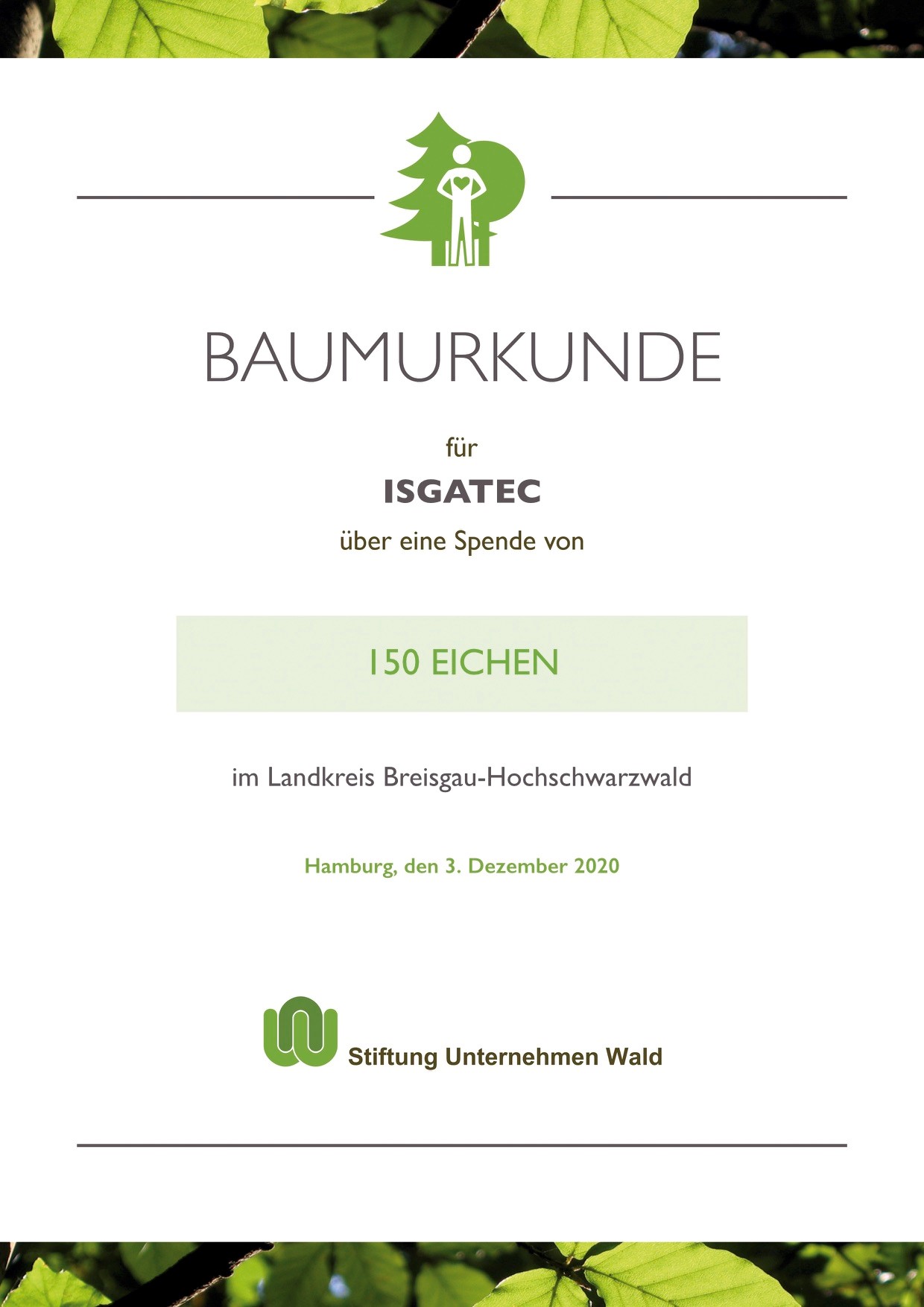 Baumspende 150 Eichen im Dezember 2020