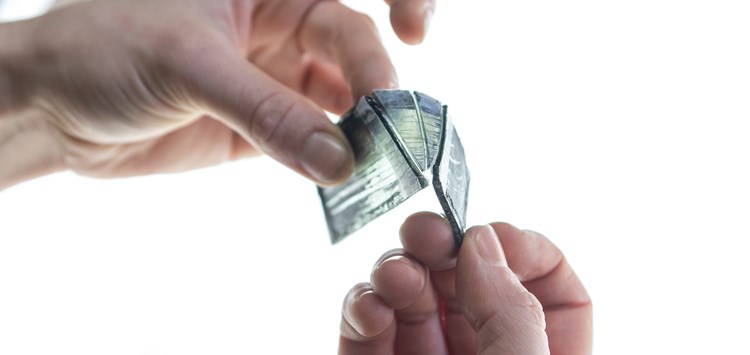 Die Rückkehr nach Notre Dame