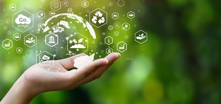 Globale Nachhaltigkeitsstrategie zeigt Wirkung