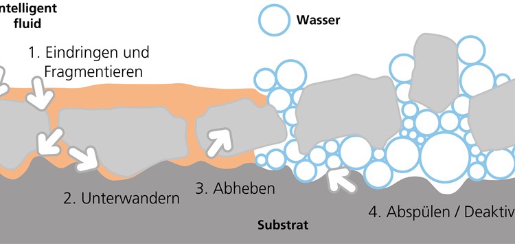 Mehr und individualisierte Klebstoffe sind der Trend