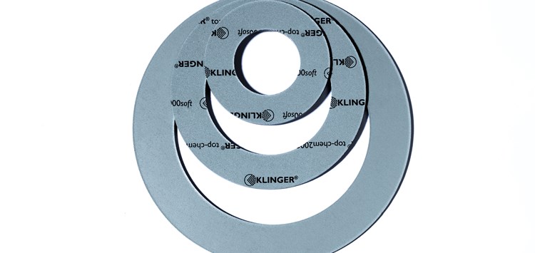 Weiterentwickelte PTFE-Dichtung