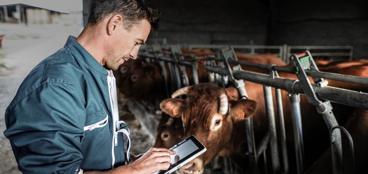 Nutztier-Überwachungssysteme sicher abdichten