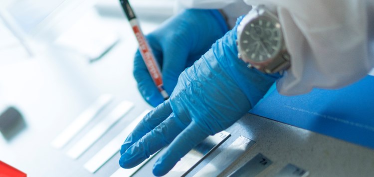 In Klebfachingenieure investieren – lohnt sich das?