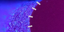 Neue PFAS-freie Allround-Beschichtung
