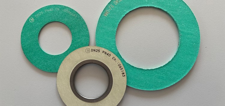 Dichtelemente für geflanschte Verbindungen