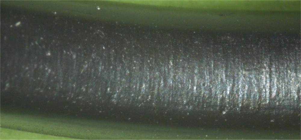 Bild 3: Erosionsschäden (parallele Riefen in Axialrichtung) an einem O-Ring  (Bild: O-Ring Prüflabor Richter GmbH)