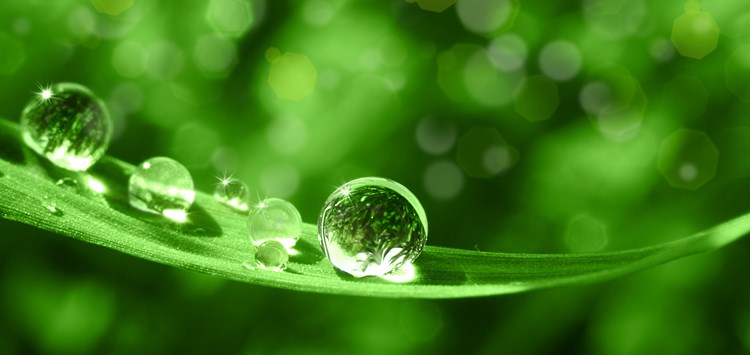 Nachhaltig beschichten