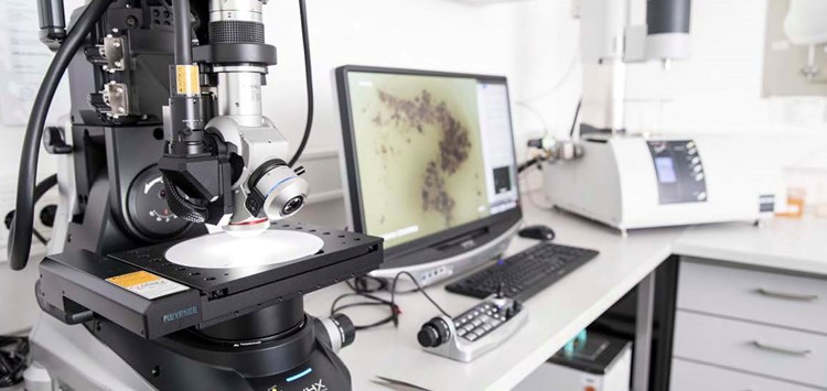 „Für optimale Dichtstellen braucht man immer mehr Kreativität.“