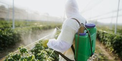 Was haben Kleb- und Schmierstoffe mit der Insektenbekämpfung gemeinsam?