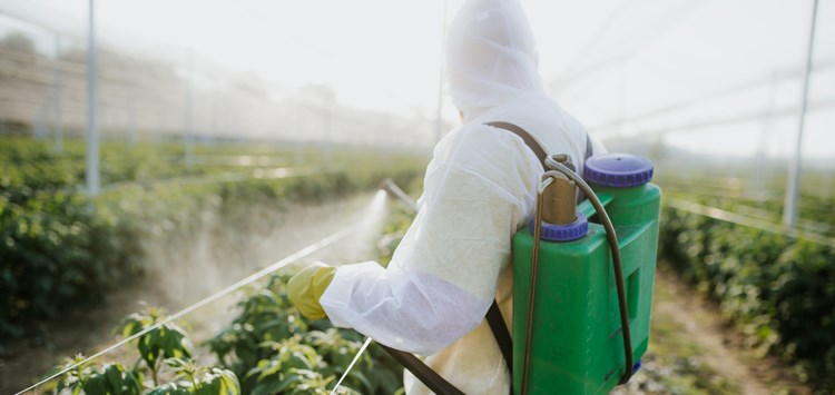 Was haben Kleb- und Schmierstoffe mit der Insektenbekämpfung gemeinsam?