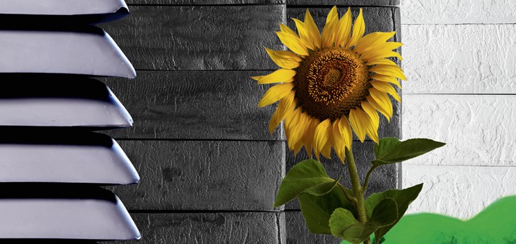 Erweitertes Portfolio an nachhaltigeren Halbzeugen