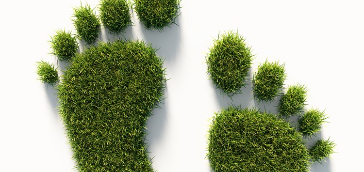 Nachhaltige Werkstoff- und  Dichtungslösungen – wir sind dabei