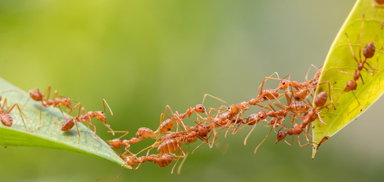 „Brücken bauen und ihre Vernetzung sind die Herausforderung für Online-Marketing-Tools.“