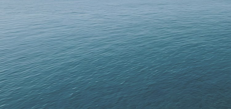 Total Cost of Ownership: Ein weites Meer an Entscheidungen