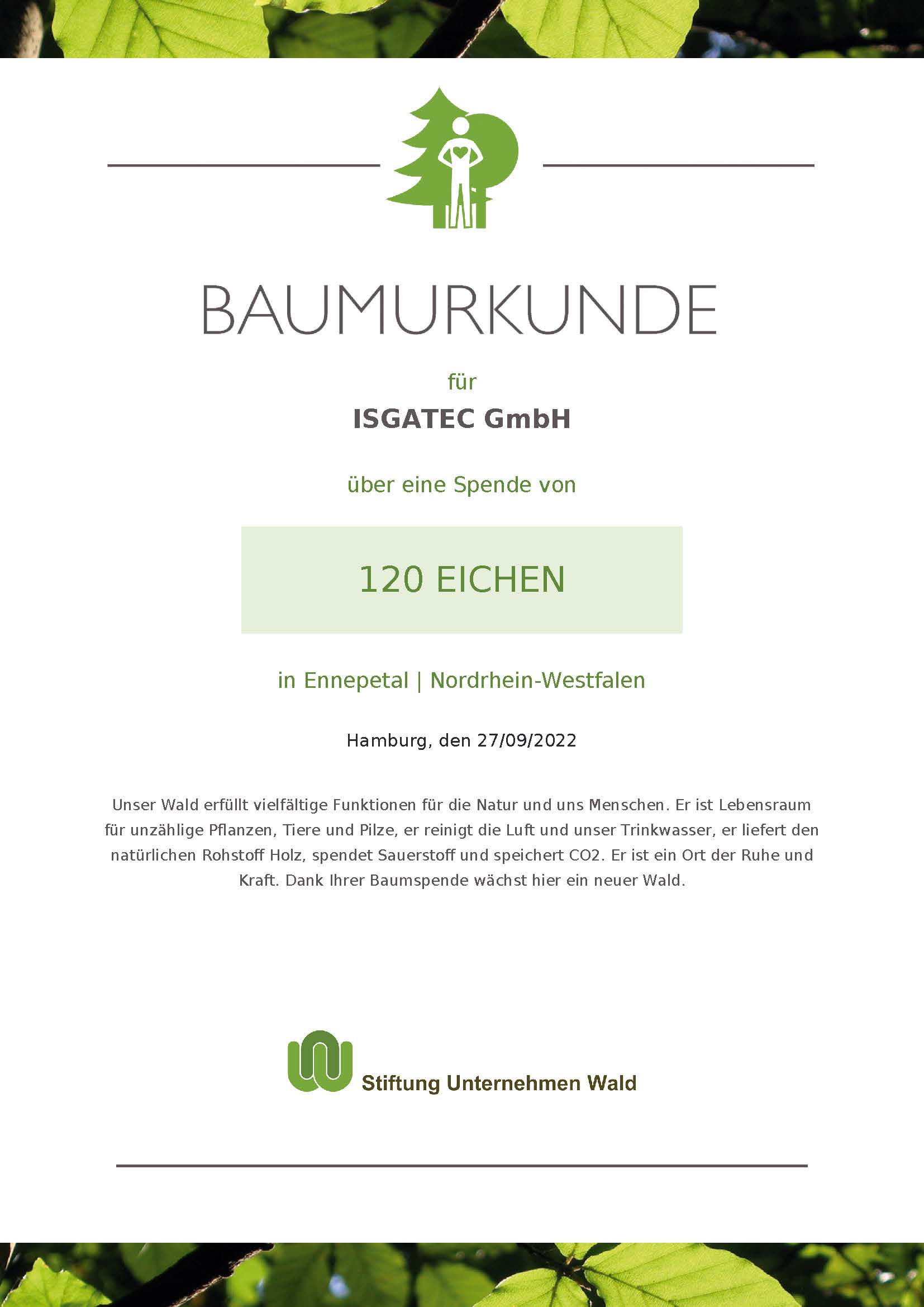 Baumspende 120 Eichen im September 2022