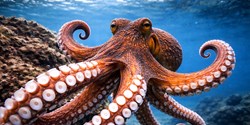 Natur: Kleben ist ein Teil des Lebens