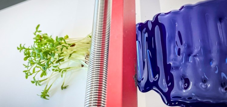 Mehr Raum für die Beschichtungsforschung