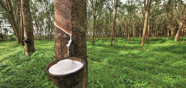 Preisindex von Kautschuk