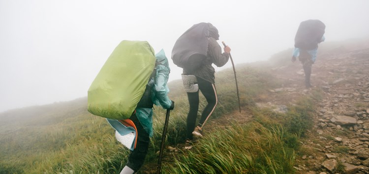 Die Gummiproduktion trägt einen schweren „CO2-Rucksack“