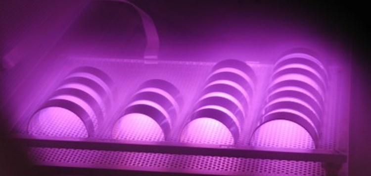 Den Mehrwert von Dichtungen aktivieren