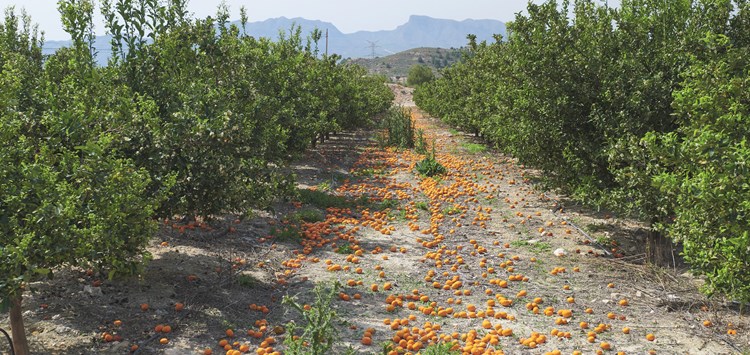 Aus Bioabfällen werden Klebstoffe und es  entstehen Perspektiven für mehrere Branchen