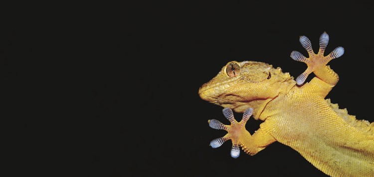 Klebt es oder hält es?