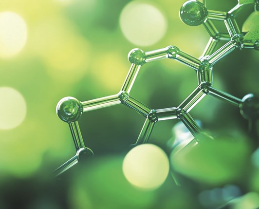 „Grüne Chemie“