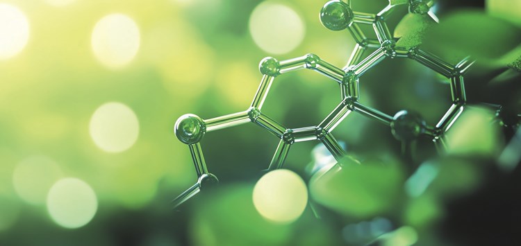 „Grüne Chemie“
