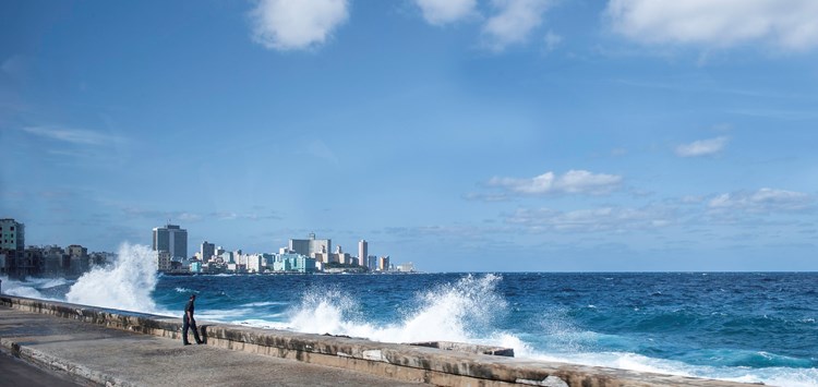 Quellendes hydrophiles TPE für salzhaltige Einsatzbereiche