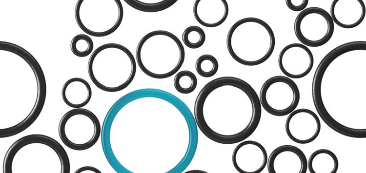 Weltweiter  O-Ring-Technologie-Transfer
