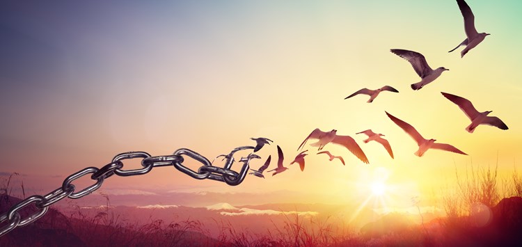 Be free – Dosieren freier denken