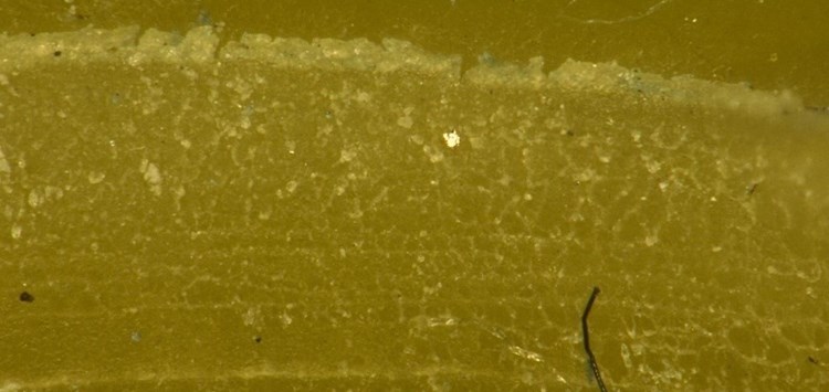 Schäden erkennen und vermeiden