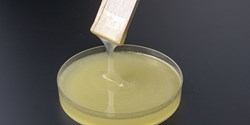 Vielseitiger Epoxidharz-Klebstoff