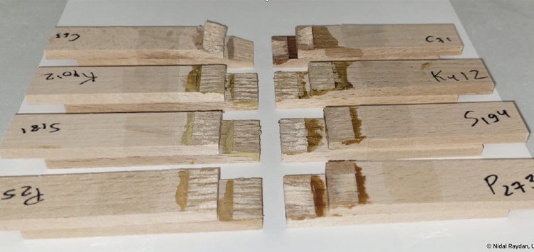 Klebstoffe aus dem Hühnerstall?