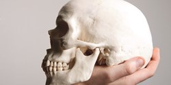 Advanced Materials: „To be or not to be, that is the question.“