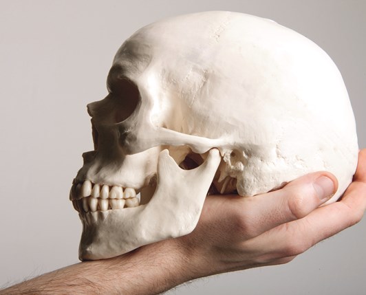 Advanced Materials: „To be or not to be, that is the question.“