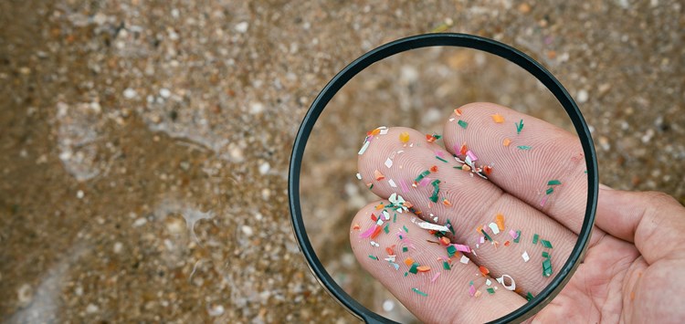 Mikroplastik unter der Lupe betrachtet