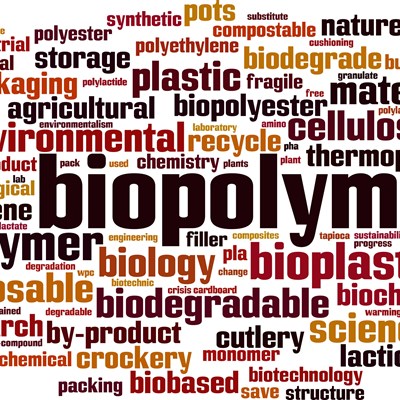 Neues Verbundprojekt „Biopolymere“