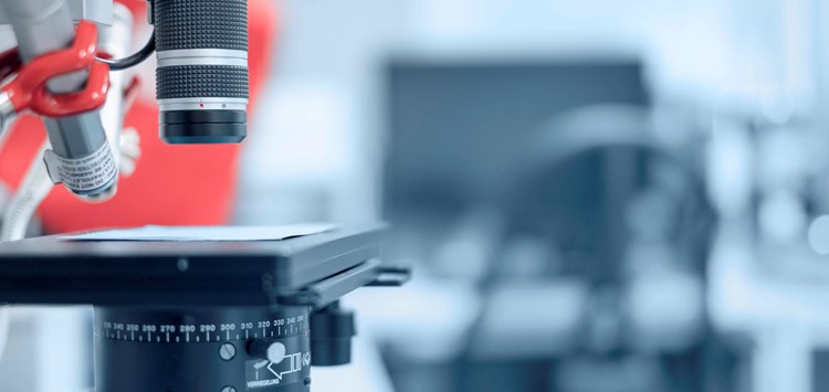 Das leisten beschichtete Dichtungen