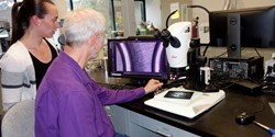 Untersuchung der Oberflächen von Dichtungen, die aus dem neuen Material gefertigt wurden, auf Unregelmäßigkeiten (Bild: Freudenberg Sealing Technologies)