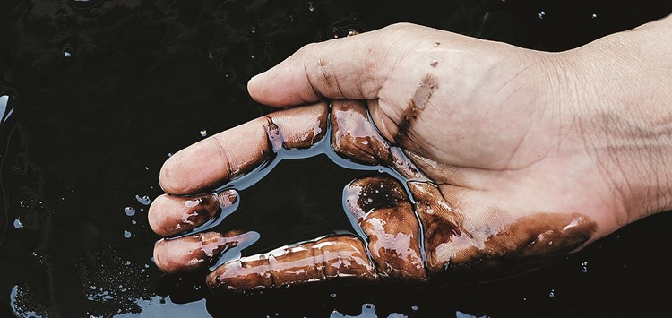 Wann wird eine Dichtung  sinnvollerweise ausgetauscht?