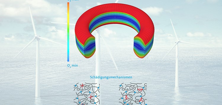 FST/Alterungsprognose