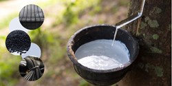 Ökologisch vorbereitet für eine erwartete steigende Nachfrage (Bild: HEXPOL Compounding Lesina)