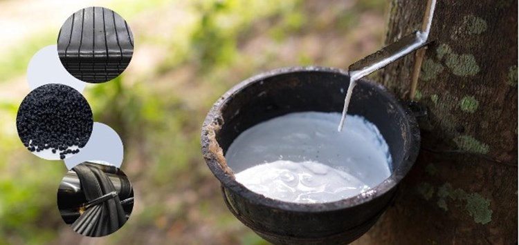 PEFC-Zertifikat für Naturkautschukmischungen