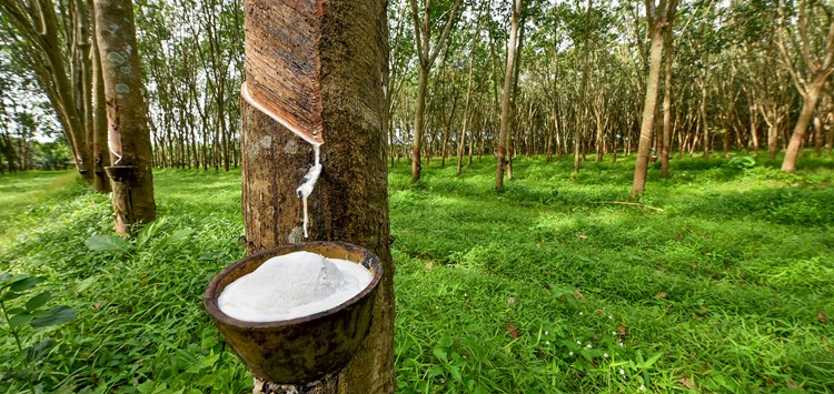 Wissen Sie, wo Ihr NK herkommt? Nein? Sollten Sie aber.