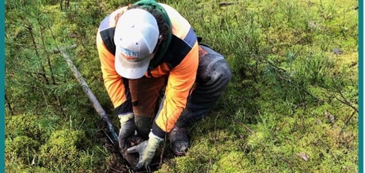 Gute Noten für Rücknahme von PU-Schaumdosen