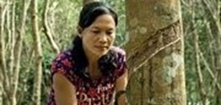 Lieferketten für Naturkautschuk transparenter machen